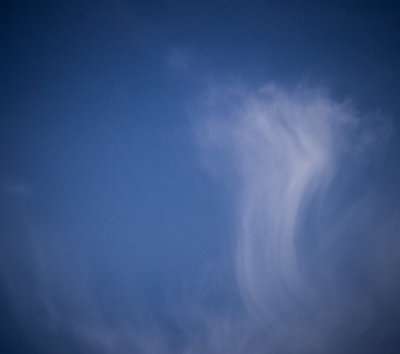 g9/54/364954/3/160008365.6dTqbZ6b.jpg