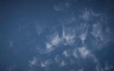 g9/54/364954/3/160008367.DpQw4CK6.jpg