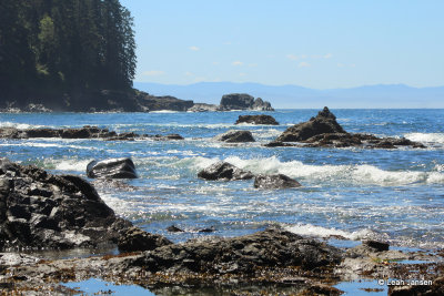 * Sombrio Beach, Port Renfrew: June 14, 2015