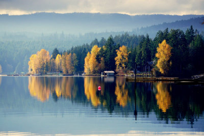 Ed Wiebe<br>November 2015 Evening Favourites<br>Theme: Trees<br>Shawnigan Lake<br>3rd (Tied)