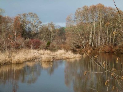 Golden Cowichan River<br>Katelyn Wills<br>CAPA 2015  Minimal Manipulation