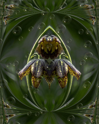 g9/54/364954/3/162657766.86k9Di27.jpg