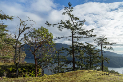 g9/54/364954/3/164765836.mktUHqtW.jpg