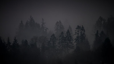 g9/54/364954/3/164979290.R7fo1krj.jpg