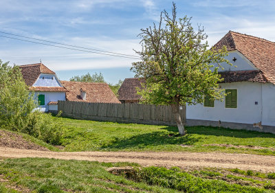 g9/54/396754/3/157459871.v01m10bR.jpg