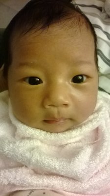 WP_20140307_023.jpg