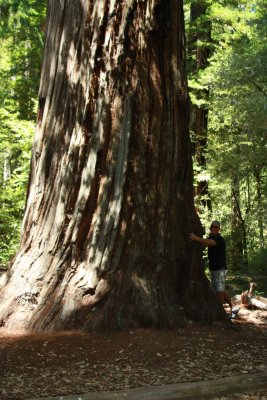 Big Basin State Park - Boulder Creek, California