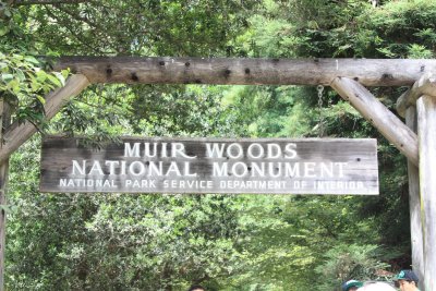 Muir Woods National Park - Mill Valley California