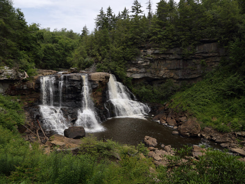 Blackwater Falls 5 wk1 IMG_3253.jpg