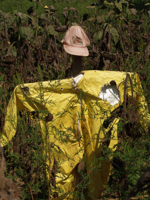 Scarecrow