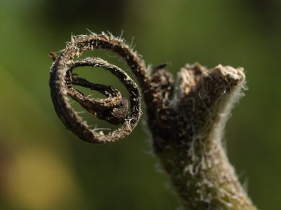 Twisted 1 