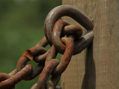 Chain