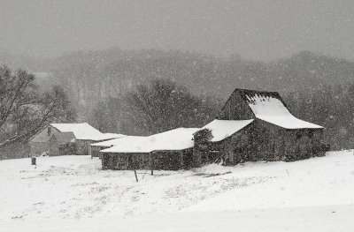 Winter on the Farm