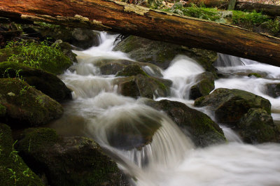 Cunningham Falls 6 wk1 IMG_2818.jpg