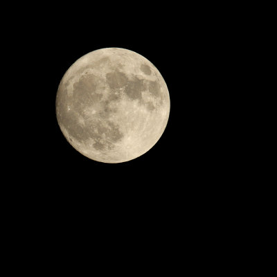 Super Moon 2 11-13-16 Orig1_MG_0426.jpg