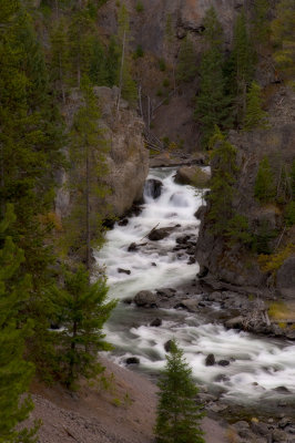 gtnp_2010