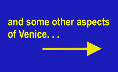 Venice_next.jpg