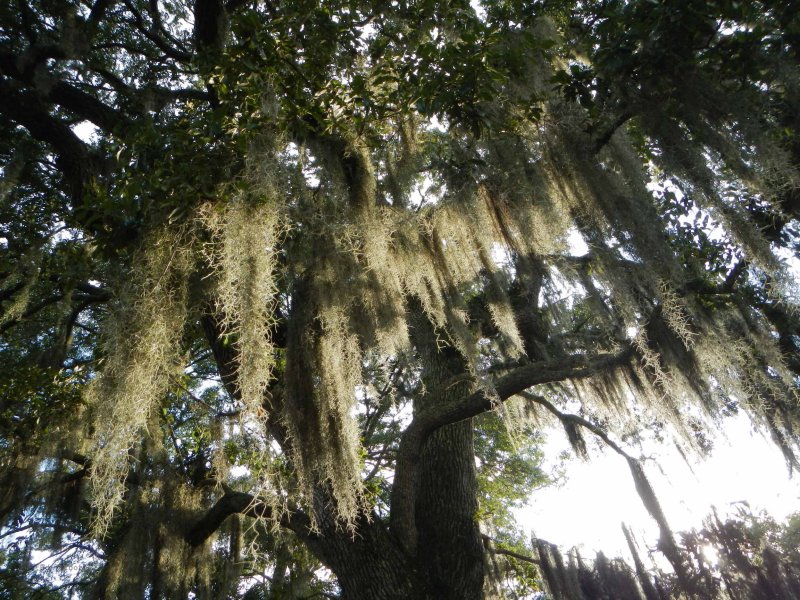 Kiawah Island / Charleston, SC - Sept 2014