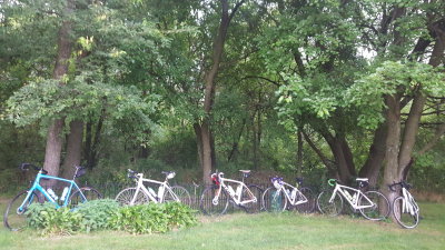 All lined up and ready to go to sleep.  Bikes sleep like horses....standing up.