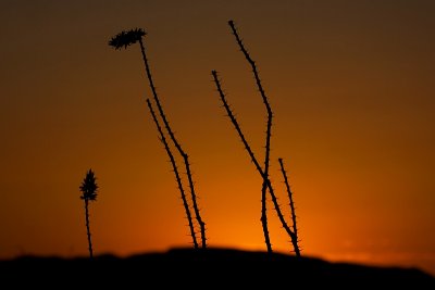 _MG_9051aa.jpg