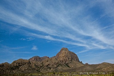 _MG_8929a.jpg