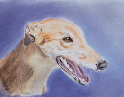 Maree's Rocket - pastel pencil - original looks better than this photo.