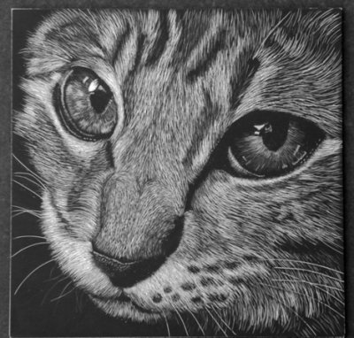 From a design by Judith White - My first attempt at Scratchboard art - 6 x 6