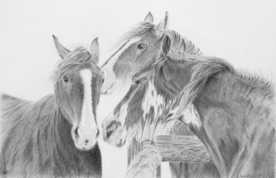 The Horse Whisperers - Cretacolour Nero Pencils on Strathmore Bristol Plate paper
