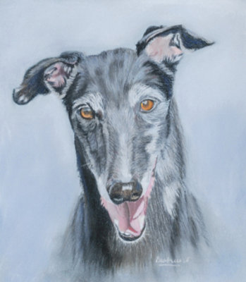 Louie - Pastel pencils - Colourfix Paper.