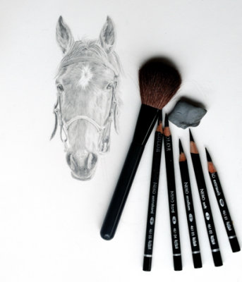 Horse - work in progress - Bristol plate paper & Cretacolour Nero pencils
