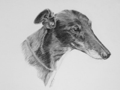 12 y.o. Pete - Strathmore Bristol Plate paper & Cretacolour Nero Pencils