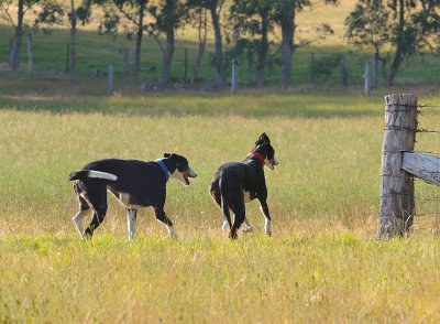 Trip & Maggie - you go first Maggie and I'll just follow.