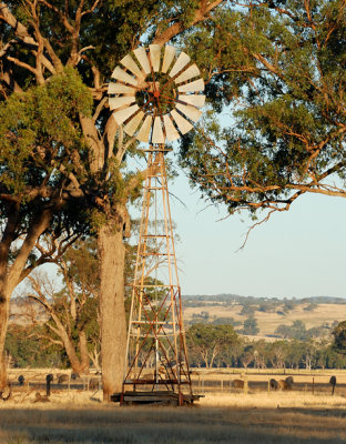 Windmill - on the Wangaratta Corowa Road