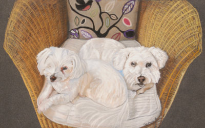 Commission of two little white fluffies - pastel pencils on Clairefontaine Pastelmat
