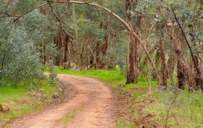 Part of the track we walk.