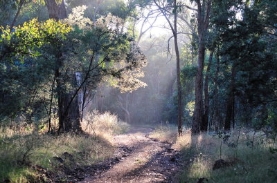 Our last morning walk for the year 2016