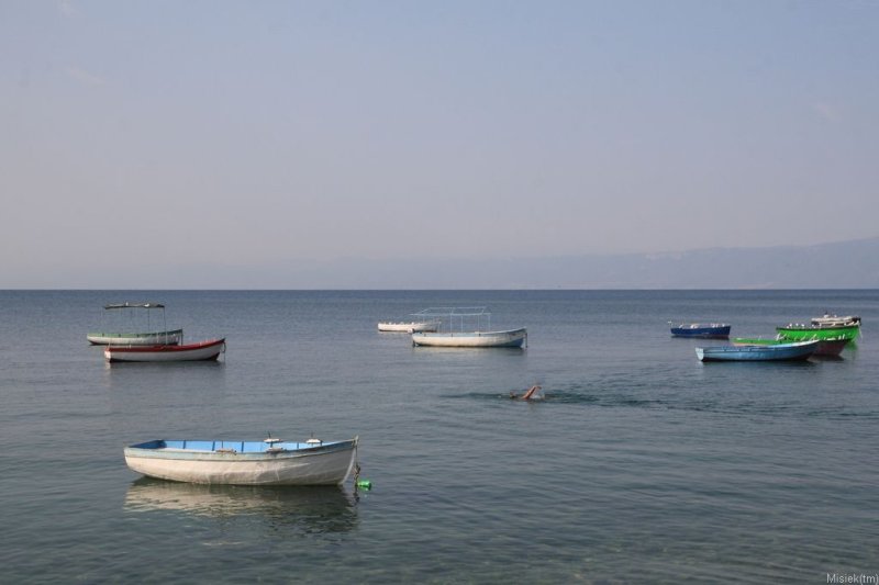 IMG_22547.JPG