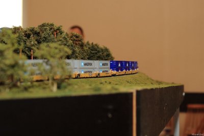 IMG_23102.JPG