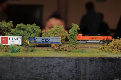 IMG_23106.JPG