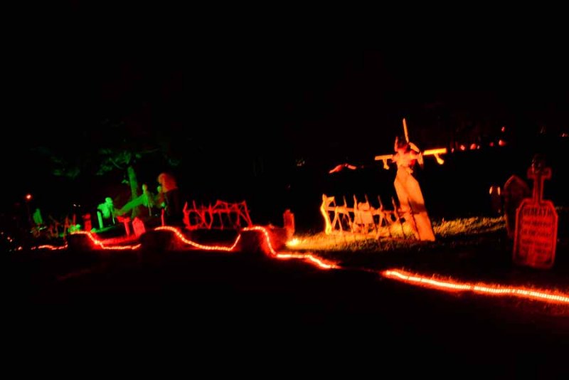 DSC_2482.jpg