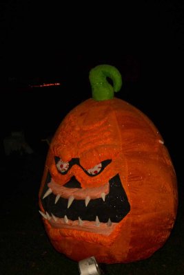DSC_7279-2.jpg