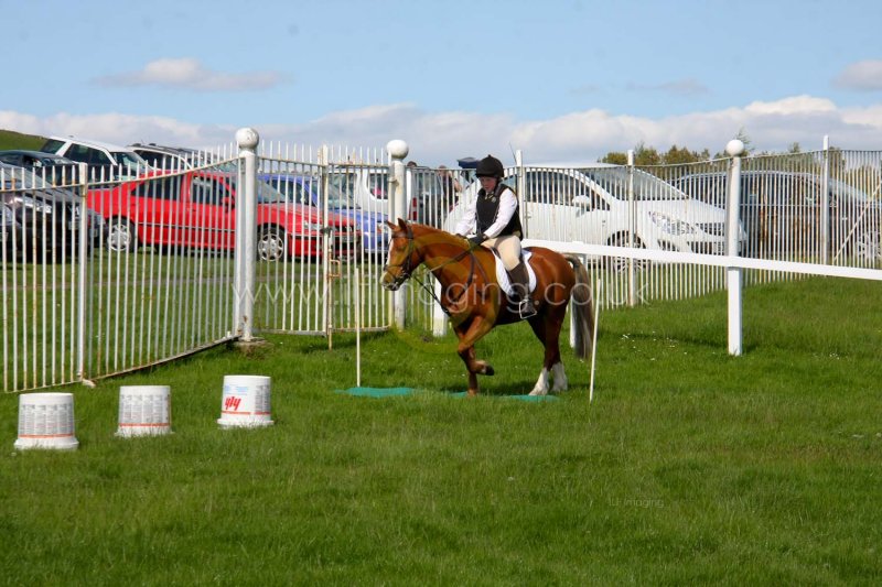 13 Gymkhana 00045.jpg