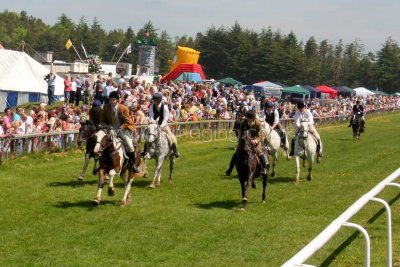 13 HCR 11113.jpg