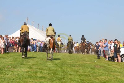 13 HCR 12071.jpg