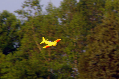 05IMGP8322.JPG