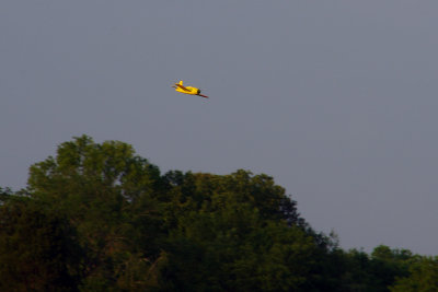 06IMGP8321.JPG