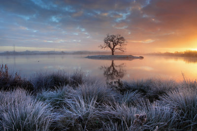 Life on the Lake, Rushy Common, Oxfordshire.