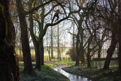 Otta Willow Tree Climbing.