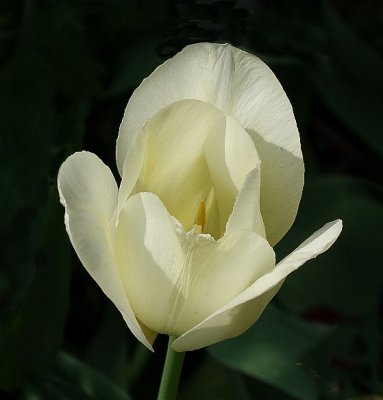 g9/54/729754/3/150399920.Kbfk0fRh.jpg
