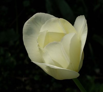 g9/54/729754/3/150399921.6qobVUMH.jpg